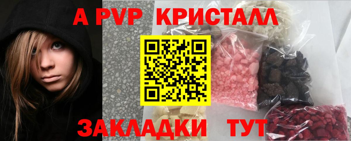 A PVP СК Новосибирск