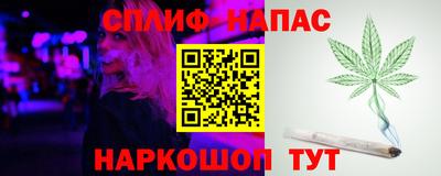 стаф Гай
