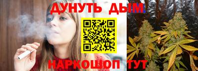 стаф Гай