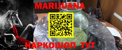 стаф Гай