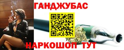 стаф Гай