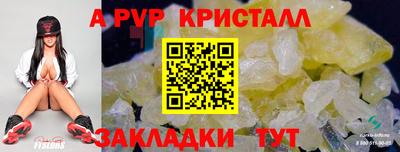 стаф Гай