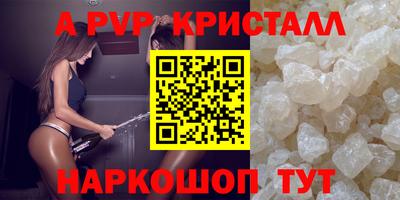 стаф Гай