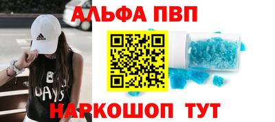 стаф Гай